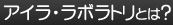 �A�C���E���{���g���Ƃ́H